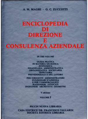 Enciclopedia di Direzione e Consulenza Aziendale 1`