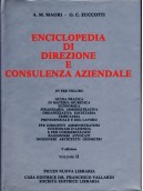 Enciclopedia di Direzione e Consulenza Aziendale 2`
