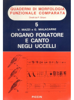Organo fonatore e canto degli uccelli Organo fonatore e canto degli uccelli