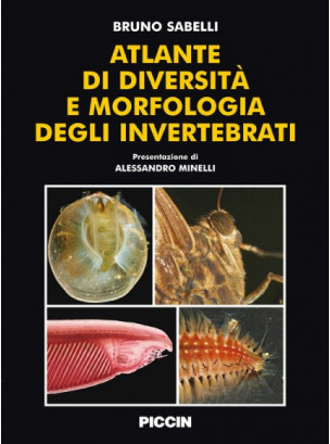 Atlante di diversità e morfologia degli invertebrati