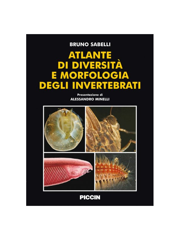 Atlante di diversità e morfologia degli invertebrati