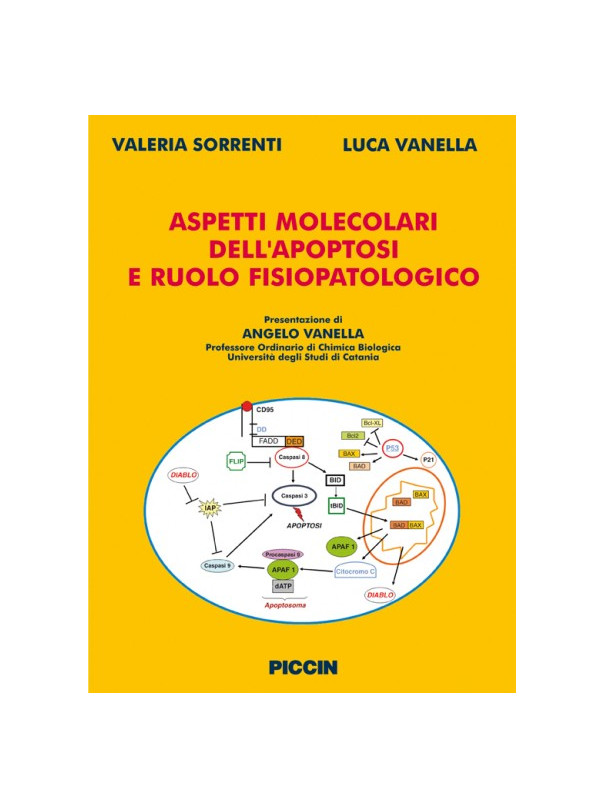 Aspetti molecolari dell'apoptosi e ruolo fisiopatologico