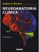 Neuroanatomia clinica