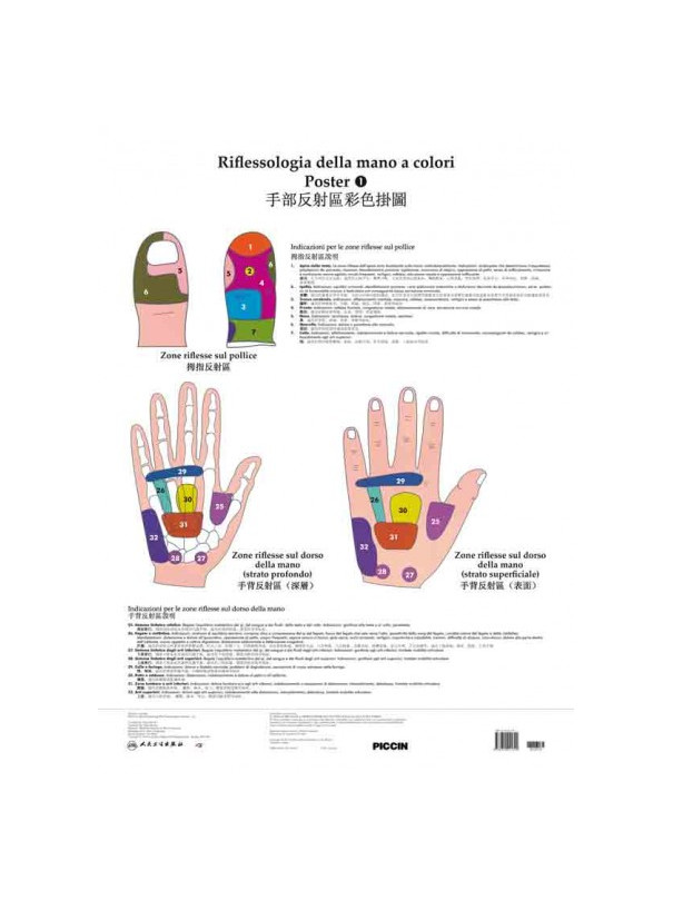 Poster di riflessologia della mano a colori