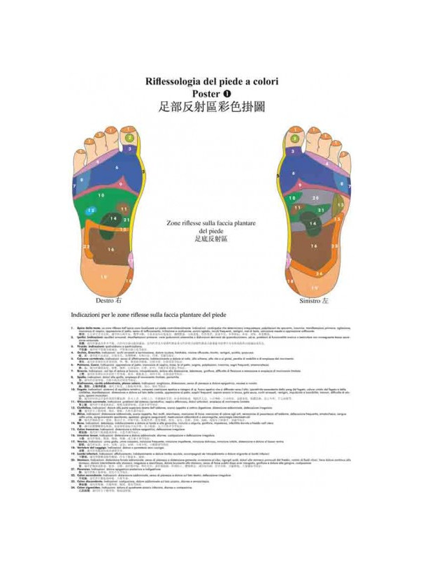 Poster di riflessologia del piede a colori