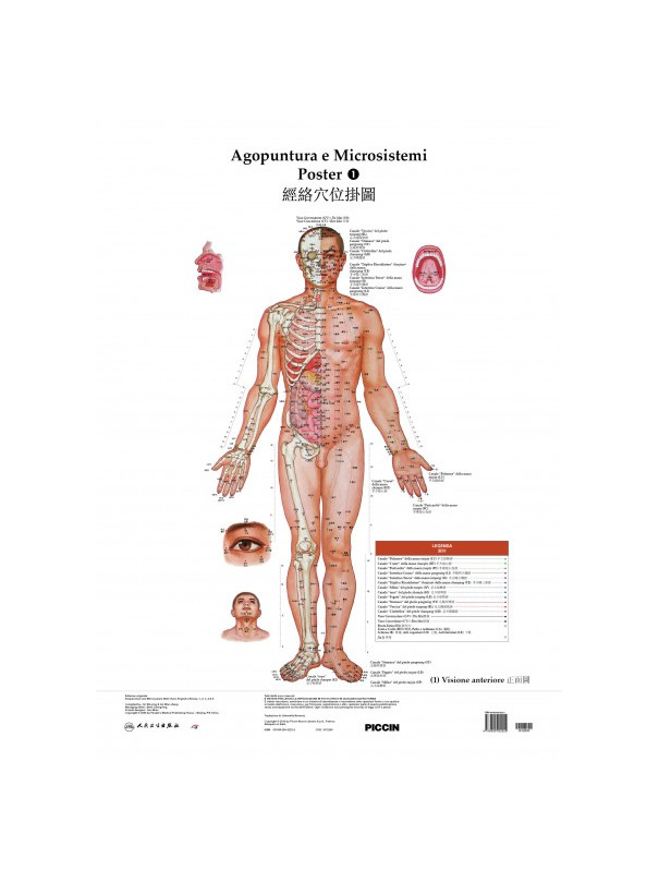 Poster di agopuntura e microsistemi