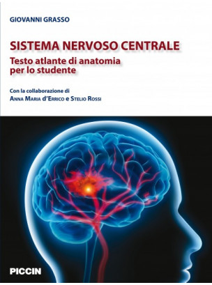 Sistema nervoso centrale