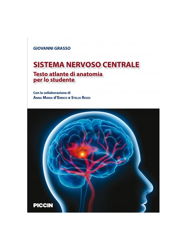 Sistema nervoso centrale