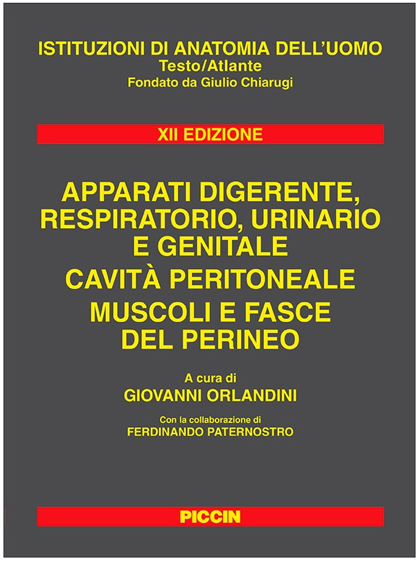 Apparati Digerente, Respiratorio, Urinario e Genitale - Cavità Peritoneale, Muscoli e Fasce del Perineo