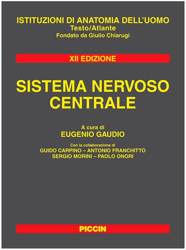 Sistema Nervoso Centrale