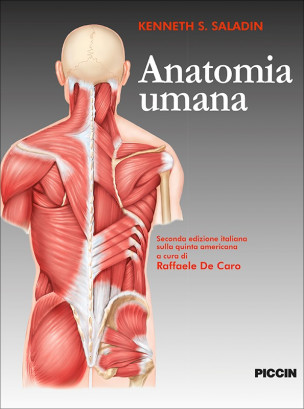 Atlante di anatomia umana (libro - Libri e Riviste In vendita a