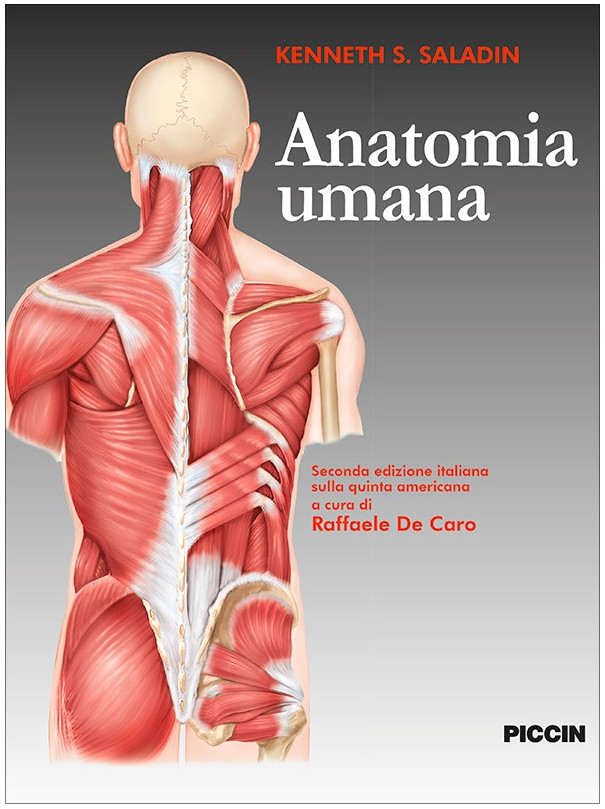 Anatomia Umana