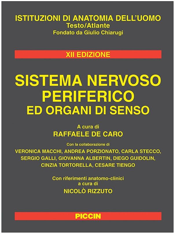 Sistema nervoso periferico ed organi di senso