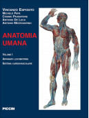 Anatomia Umana