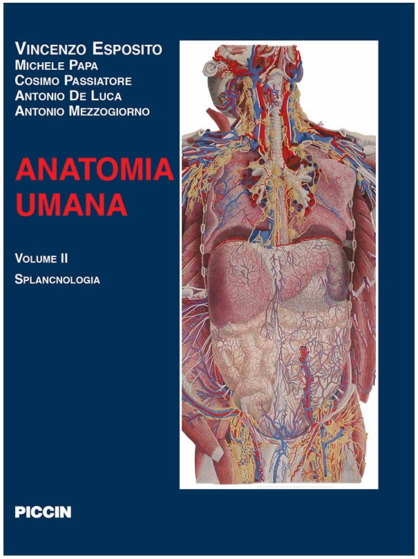 Anatomia Umana