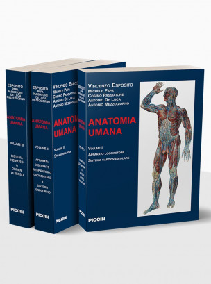 Anatomia Umana