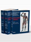 Anatomia Umana