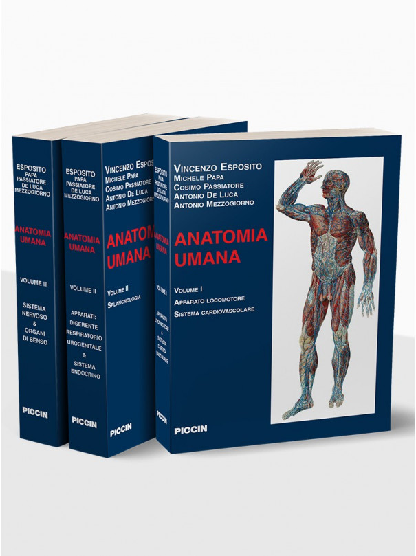 Anatomia Umana