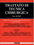 Chirurgia Plastica Ricostruttiva ed Estetica - Vol. XVII/1-4