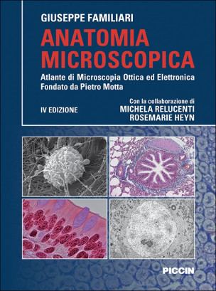 Anatomia microscopica