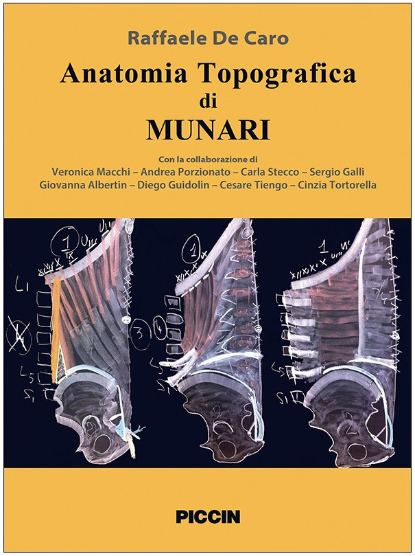 Anatomia topografica di Munari
