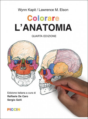 Colorare l'anatomia