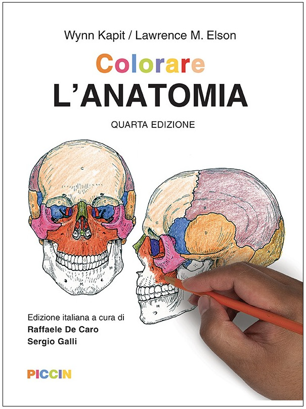 Colorare l'anatomia