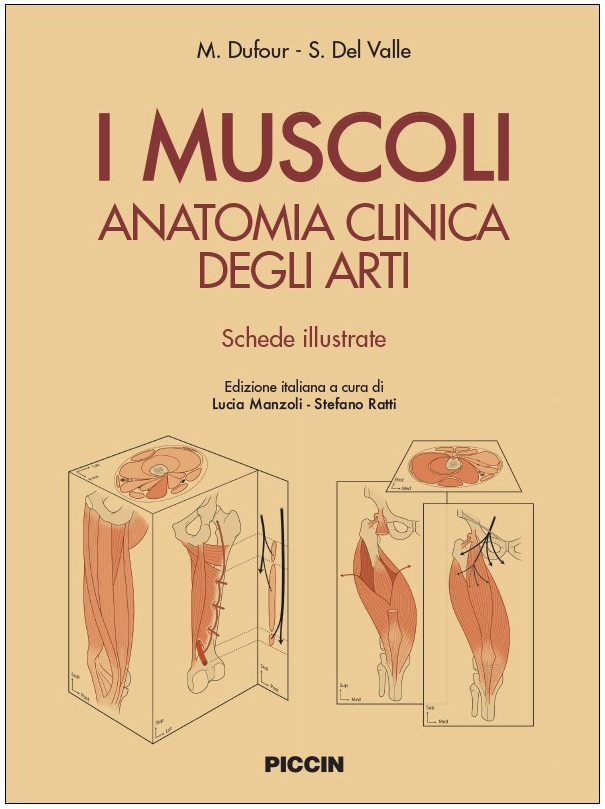 I Muscoli. Anatomia clinica degli arti. Schede illustrative