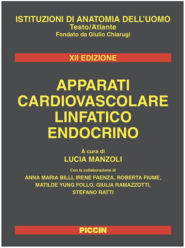 Apparati Cardiovascolari Linfatico Endocrino