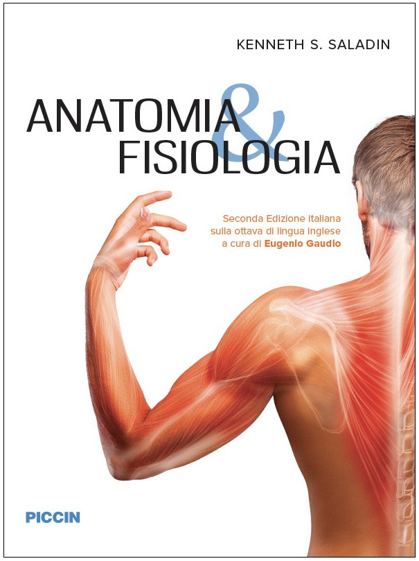 Anatomia & Fisiologia