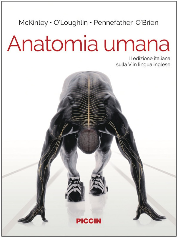 Anatomia umana