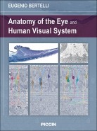 Anatomy of the Eye and Human Visual System