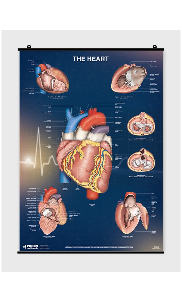 Nuova - - Libraria Heart PICCIN The Poster