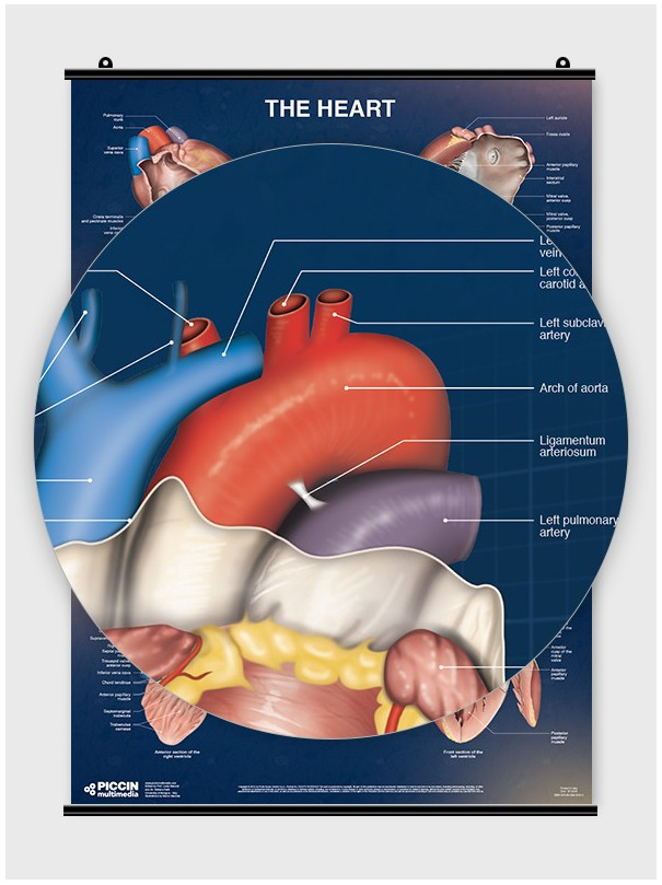 Il Cuore - Poster