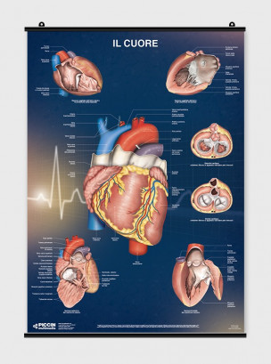 Il Cuore - Poster