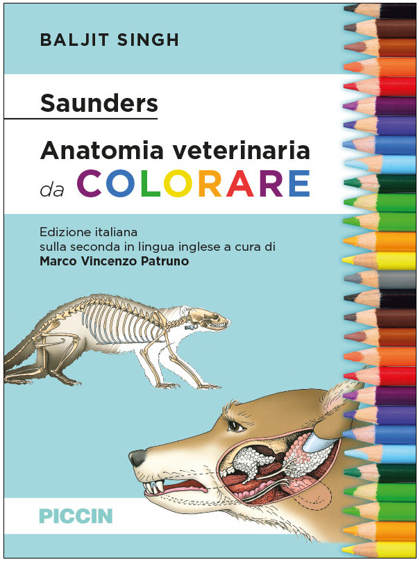 Anatomia veterinaria da colorare