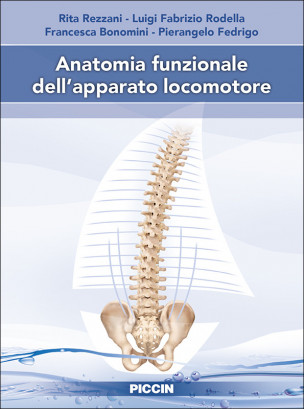 Anatomia funzionale dell’apparato locomotore