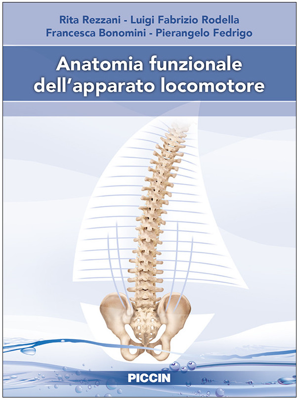 Anatomia funzionale dell’apparato locomotore