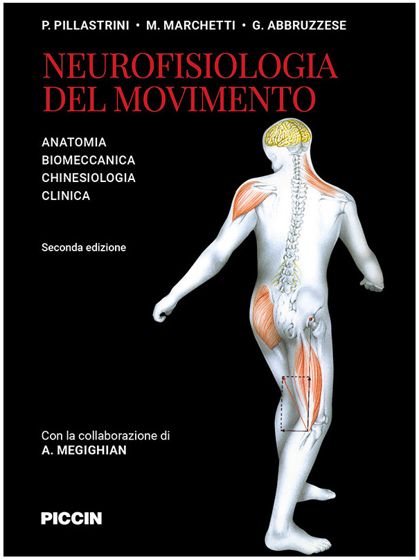 Neurofisiologia del movimento