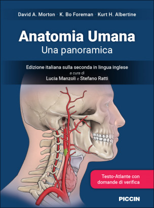 Anatomia Umana - Una panoramica