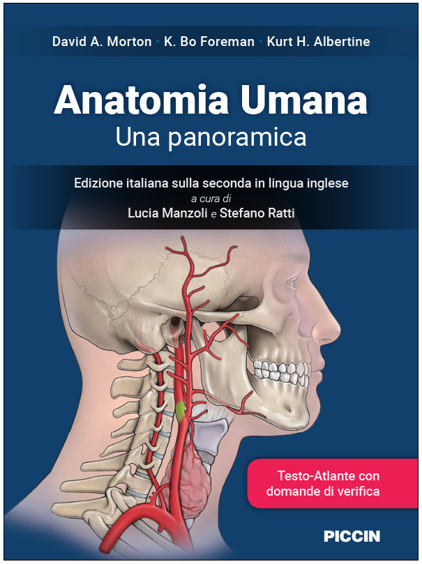 Anatomia Umana - Una panoramica