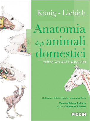 Anatomia degli animali domestici