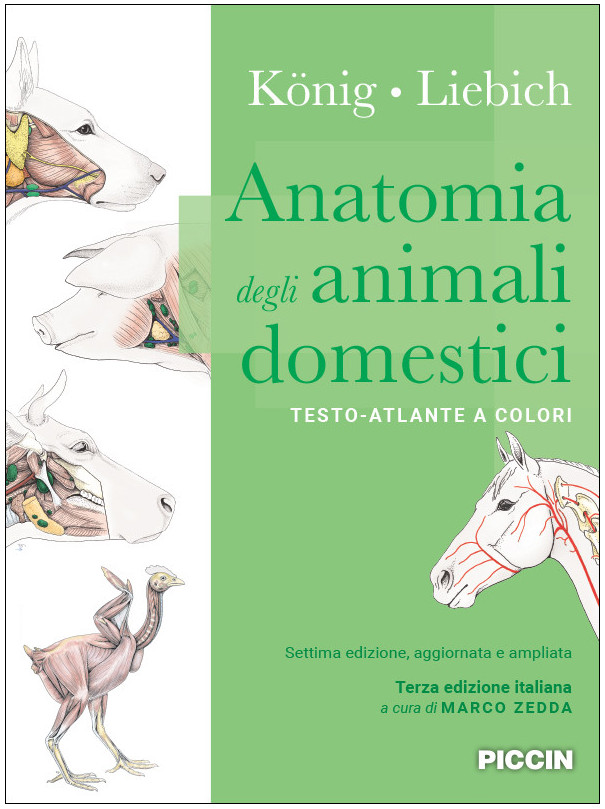 Anatomia degli animali domestici