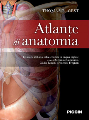 Atlante di anatomia