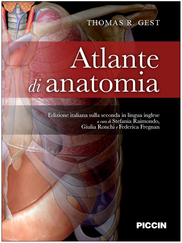 Anatomia per scienze motorie e fisioterapia. Atlante anatomia