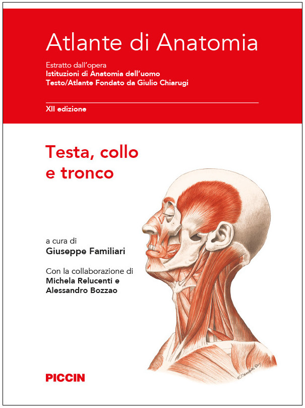 Apparati Cardiovascolare - Linfatico - Endocrino