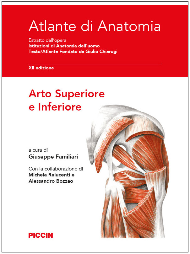 Atlante di Anatomia - Arto Superiore e Inferiore