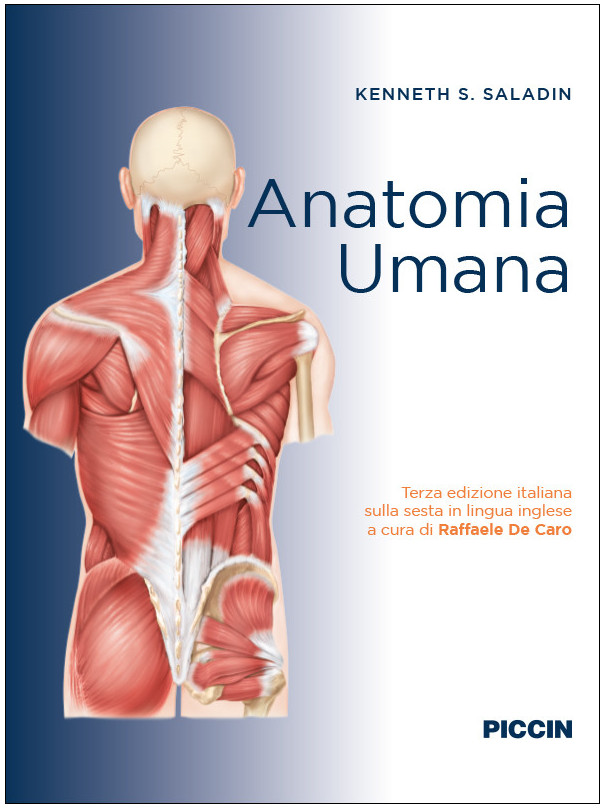 Anatomia umana