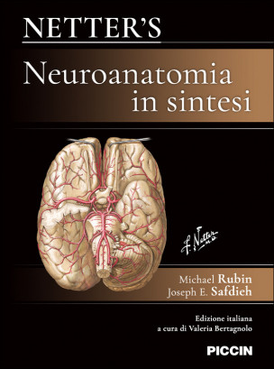 Netter’s Neuroanatomia in sintesi
