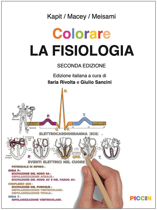 Colorare LA FISIOLOGIA